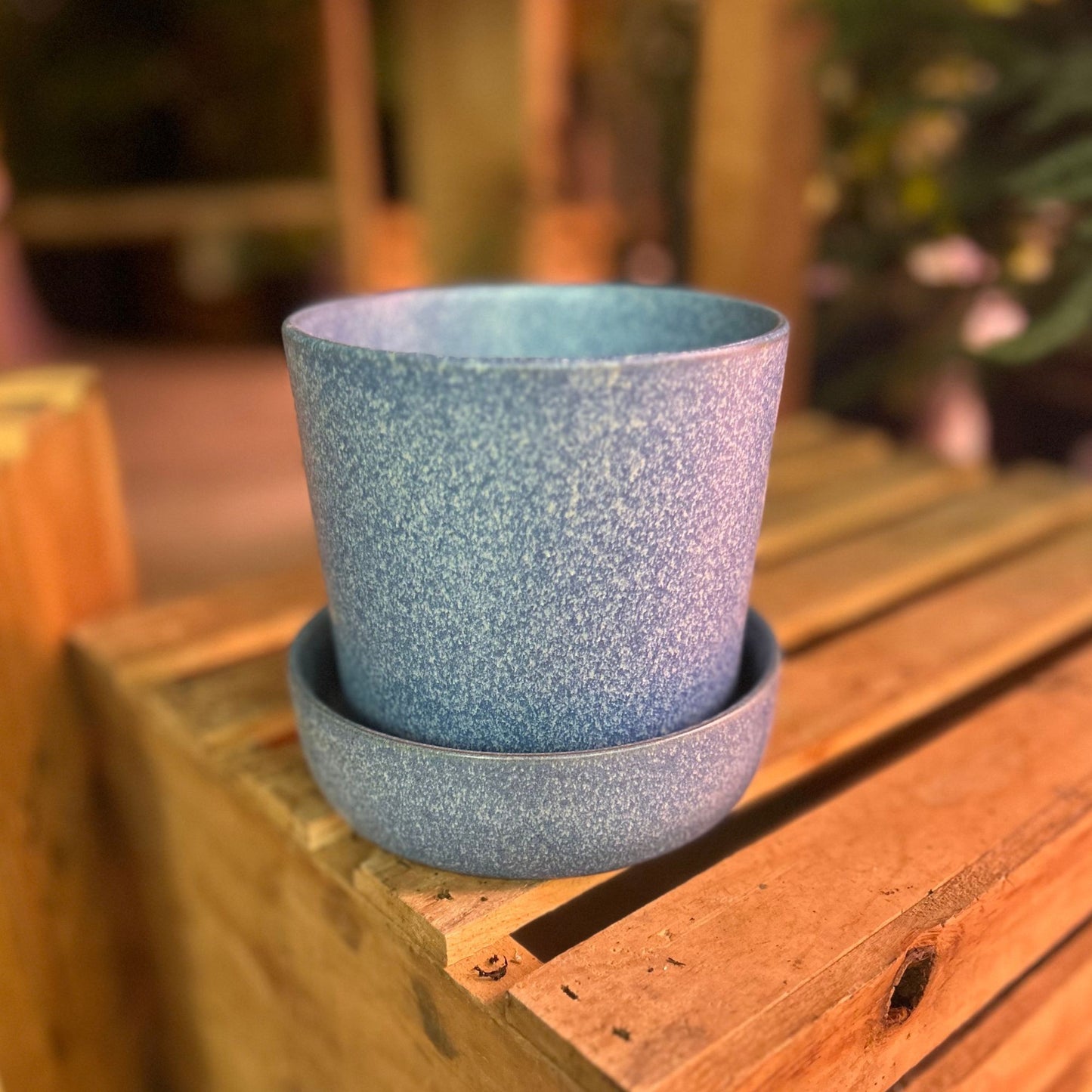 Watson Pot Blue 5"