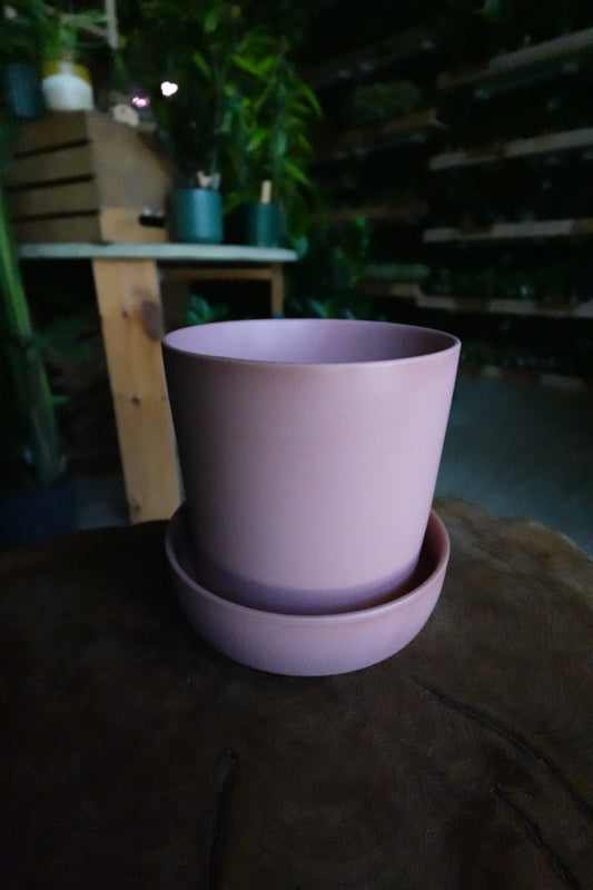 Watson Pot Pink 6"