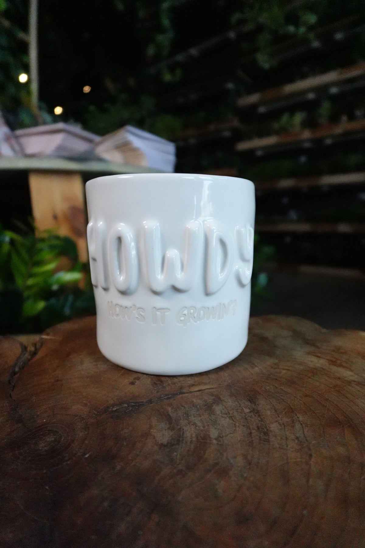 Howdy Plant Pot 4.5"