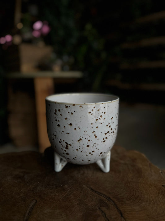 Reid Pot 6"