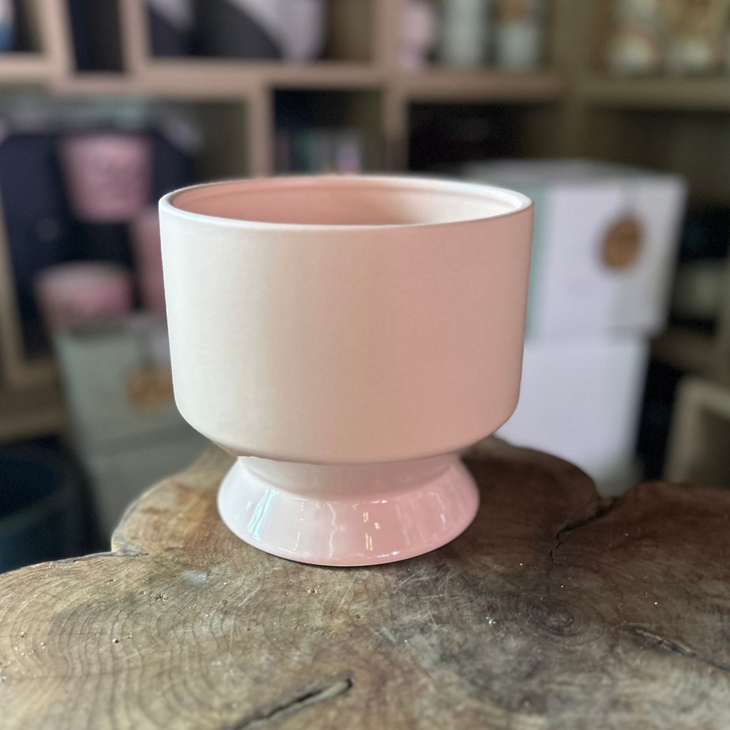 Pasadena Pot Coral 6"
