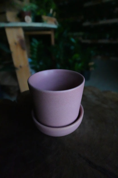 Watson Pot Pink 3"