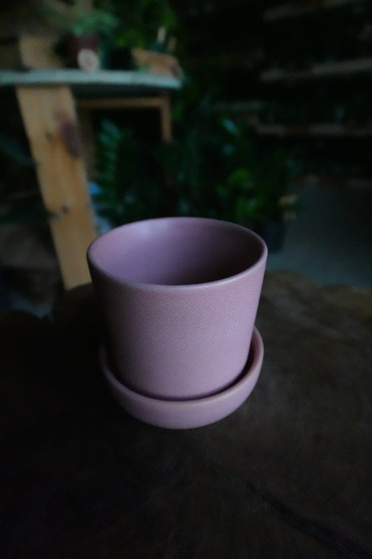 Watson Pot Pink 3"