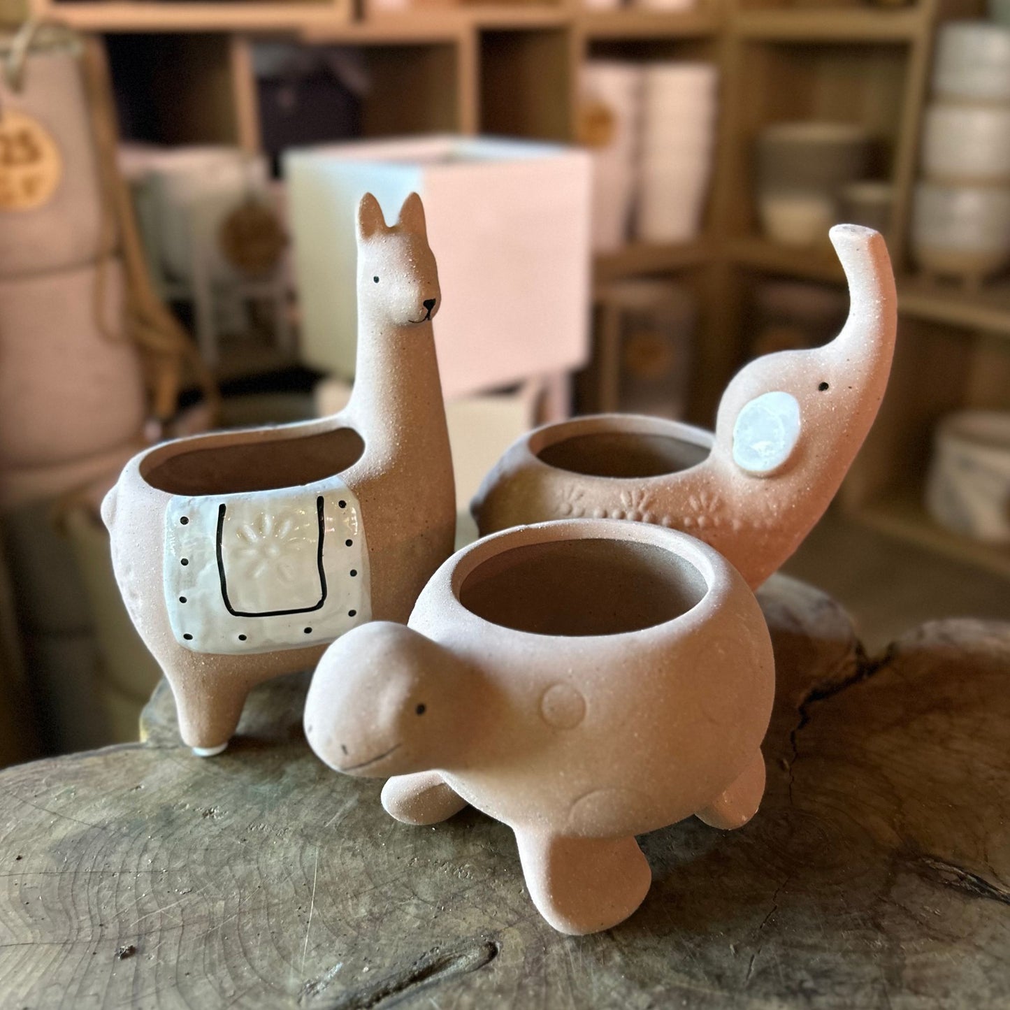Terracotta Animal Pots