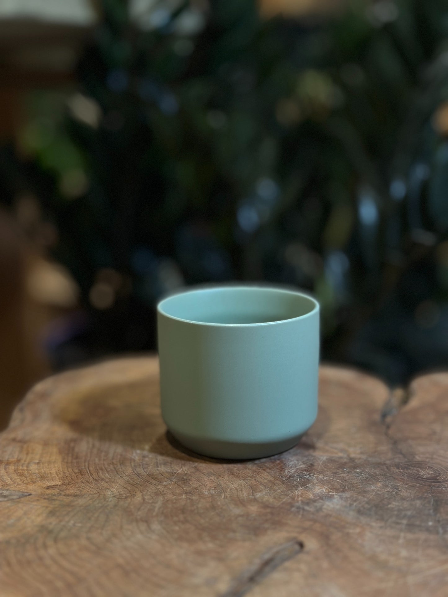 Kendall Pot Green 2.5"