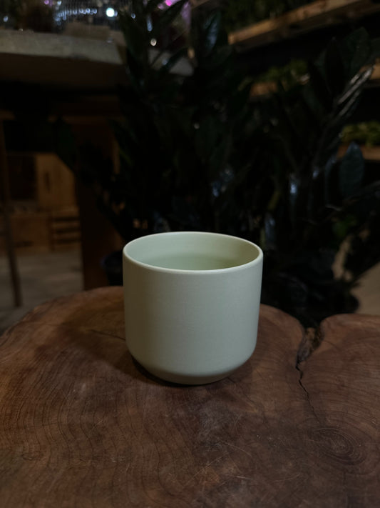 Kendall Pot Light Green 2.5"