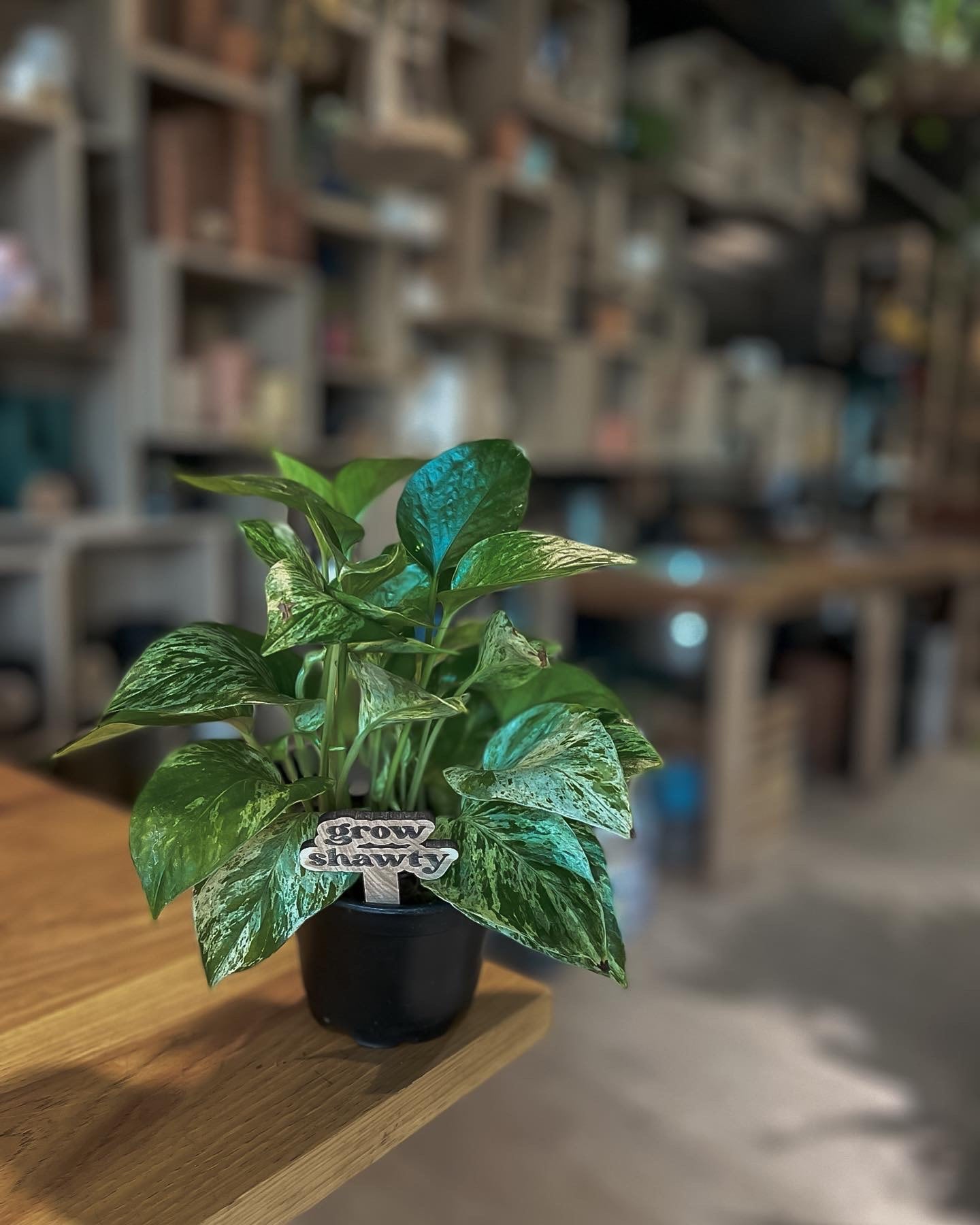 Custom Plant Stake