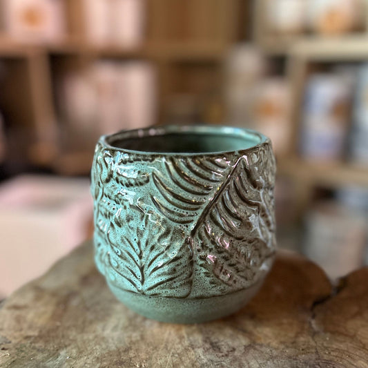 Blue Fern Pot 4”