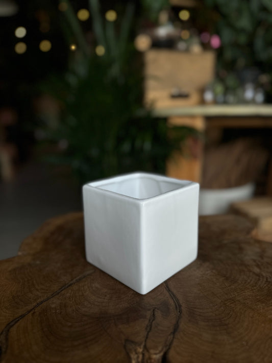 Urban Square White 4.5"