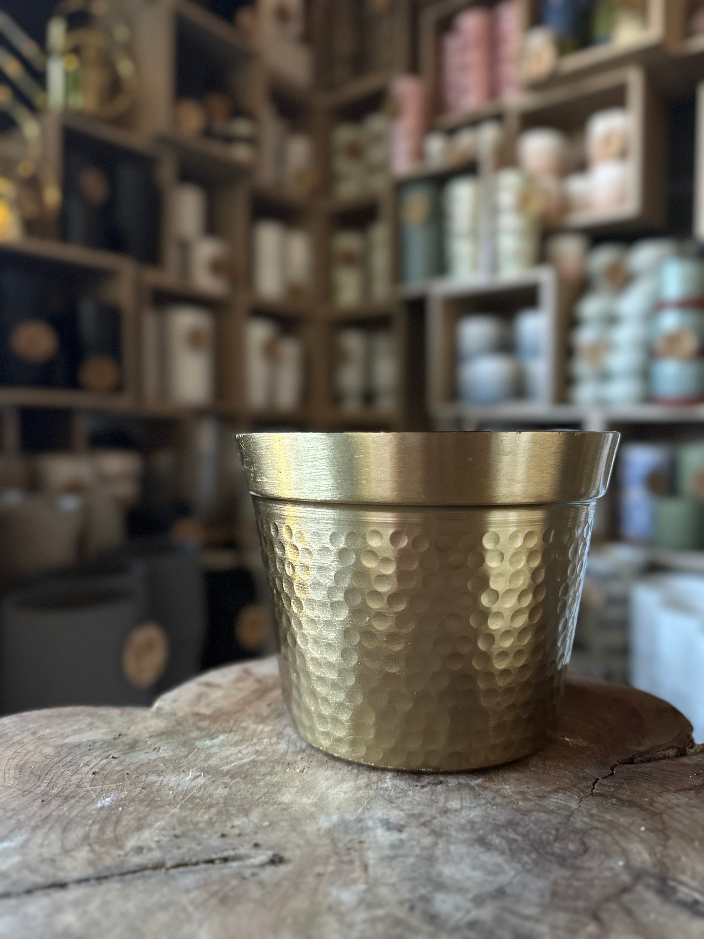 Cato Pot 6"
