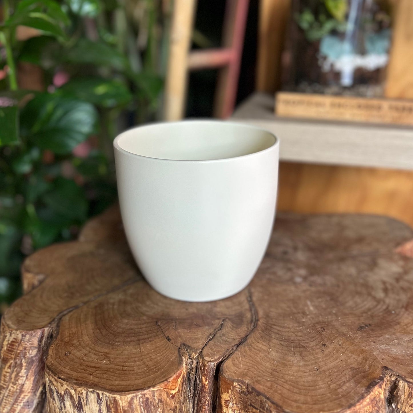 Cream Pot 6"