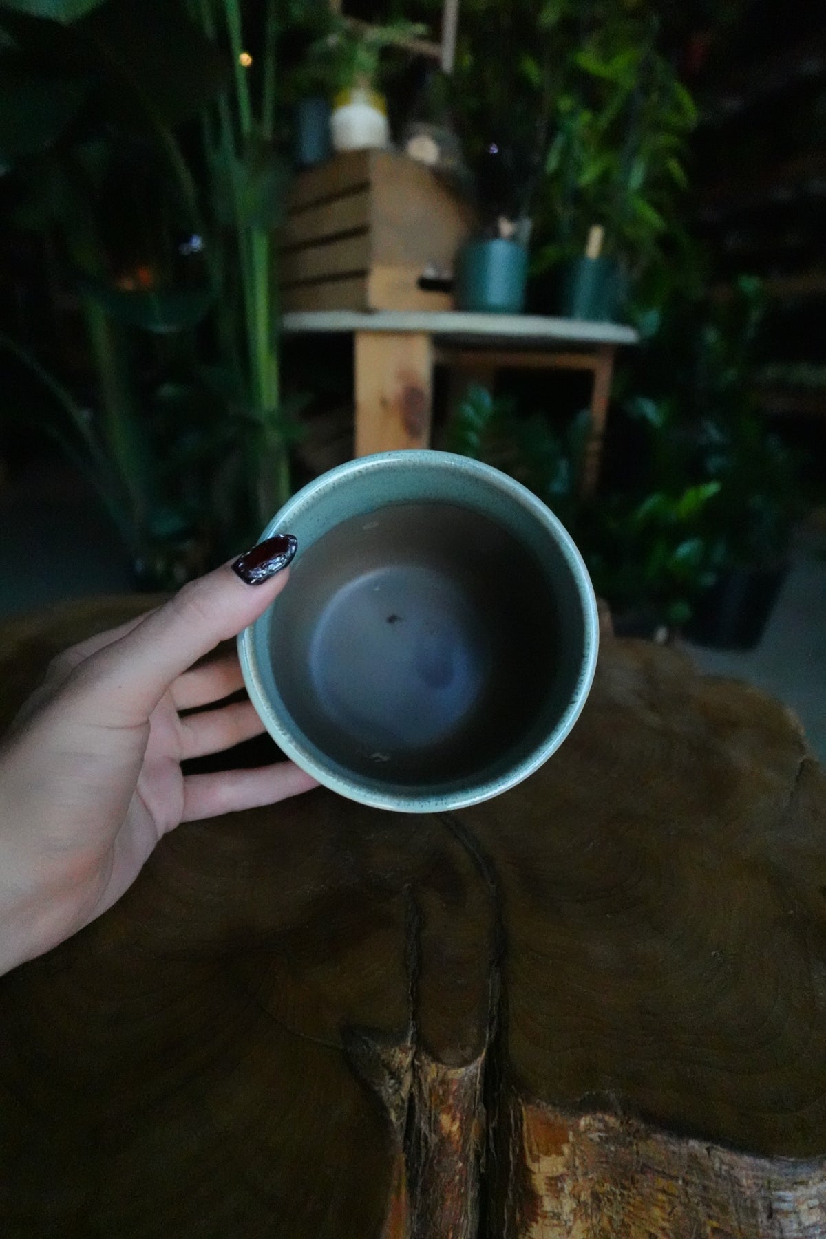Caribe Pot 4"