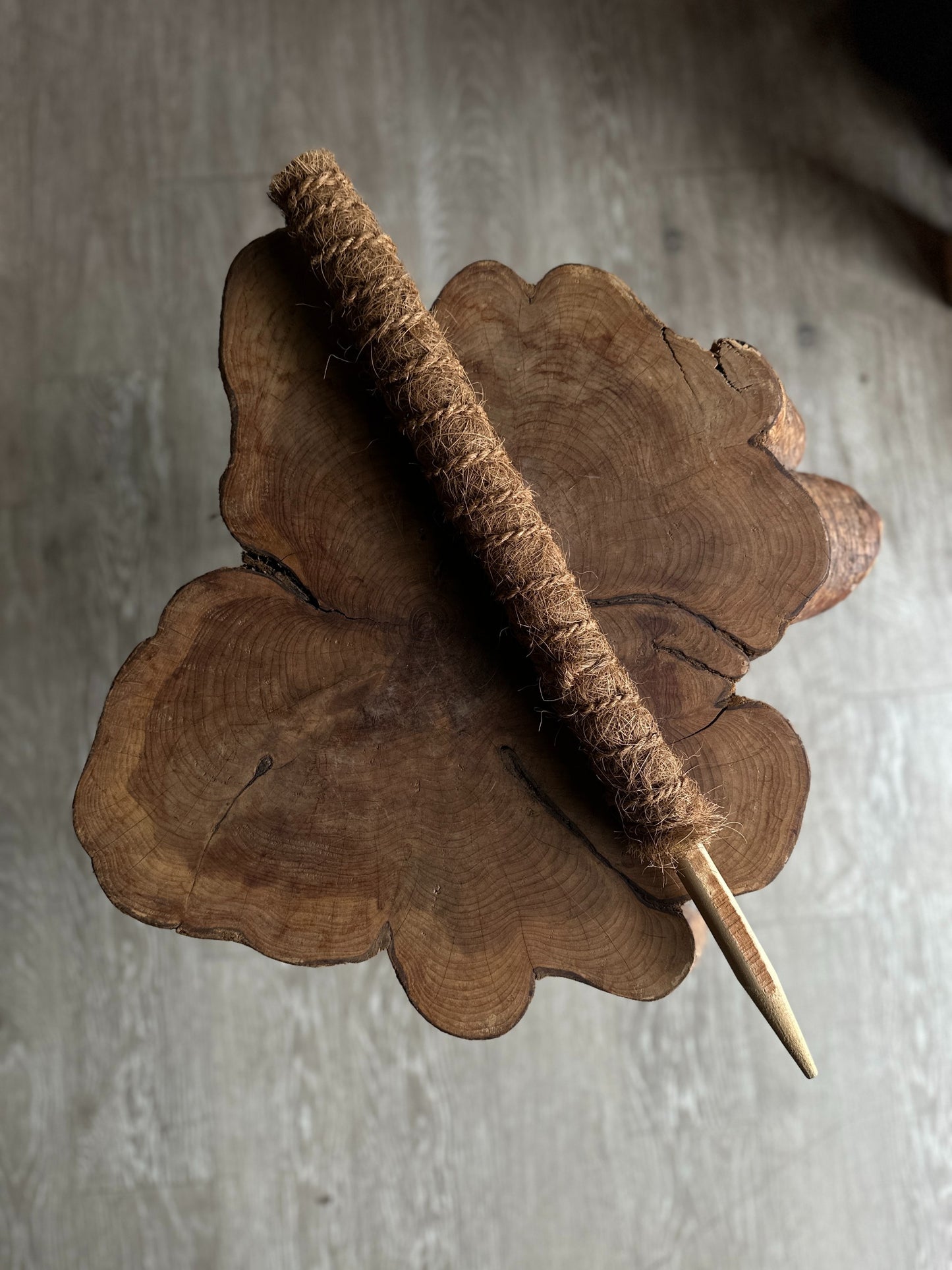 Moss Pole 18”