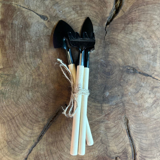 Terrarium Tools