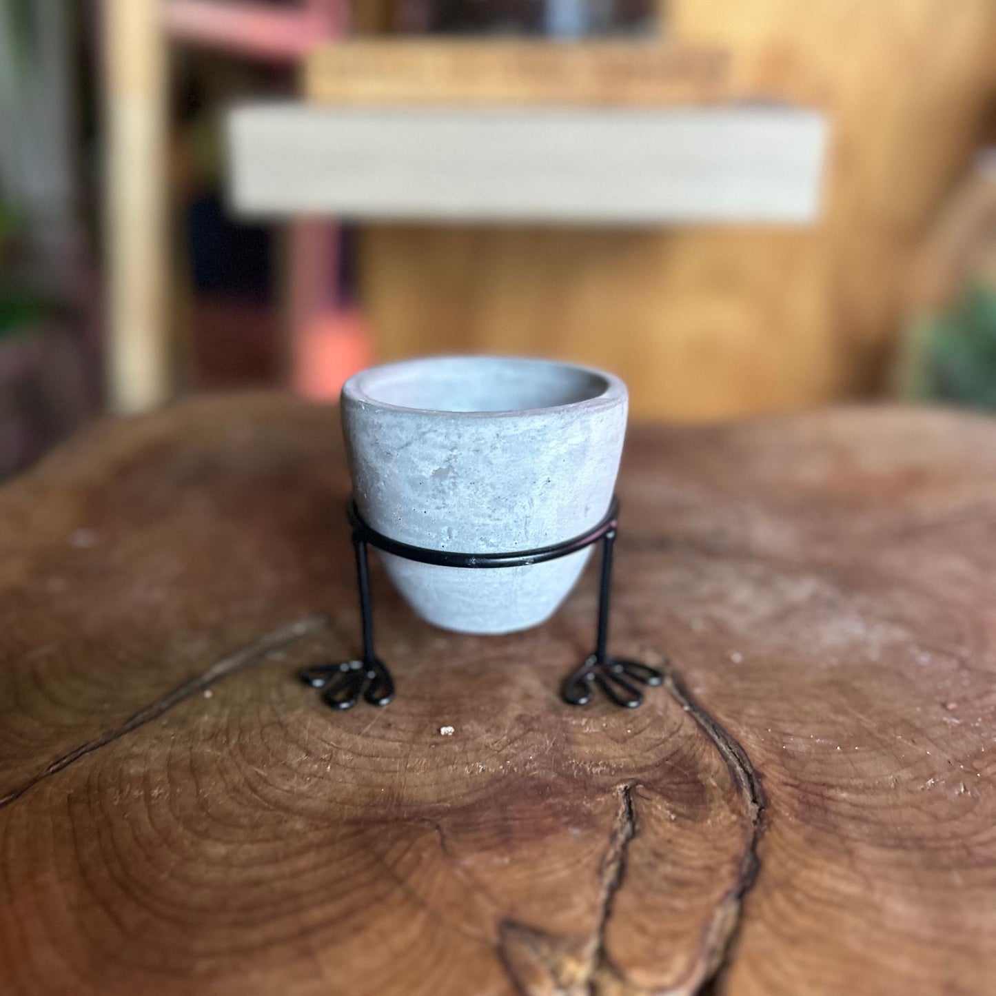 Lucky Feet Pot 2.5"