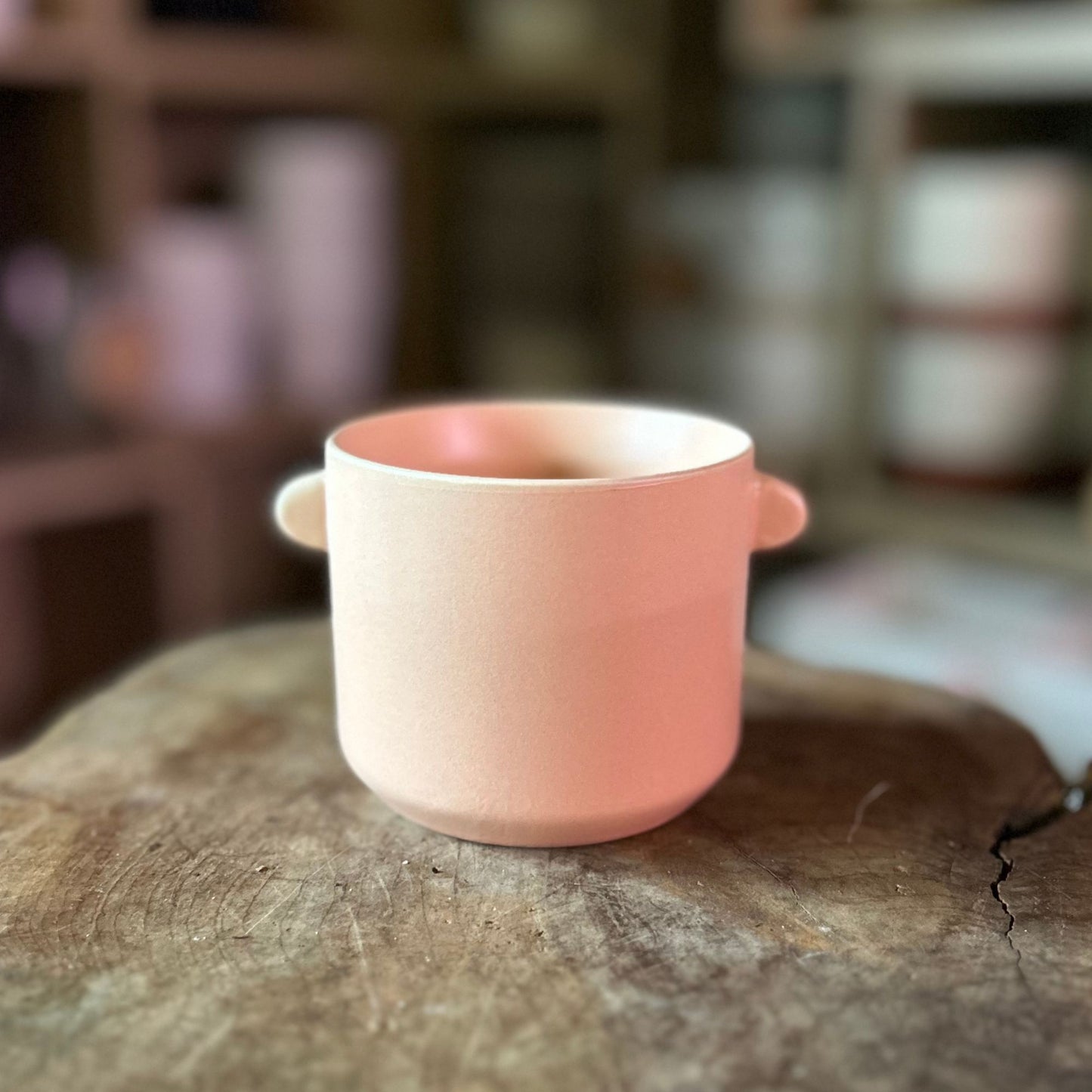 Jamye Pot Coral 3"