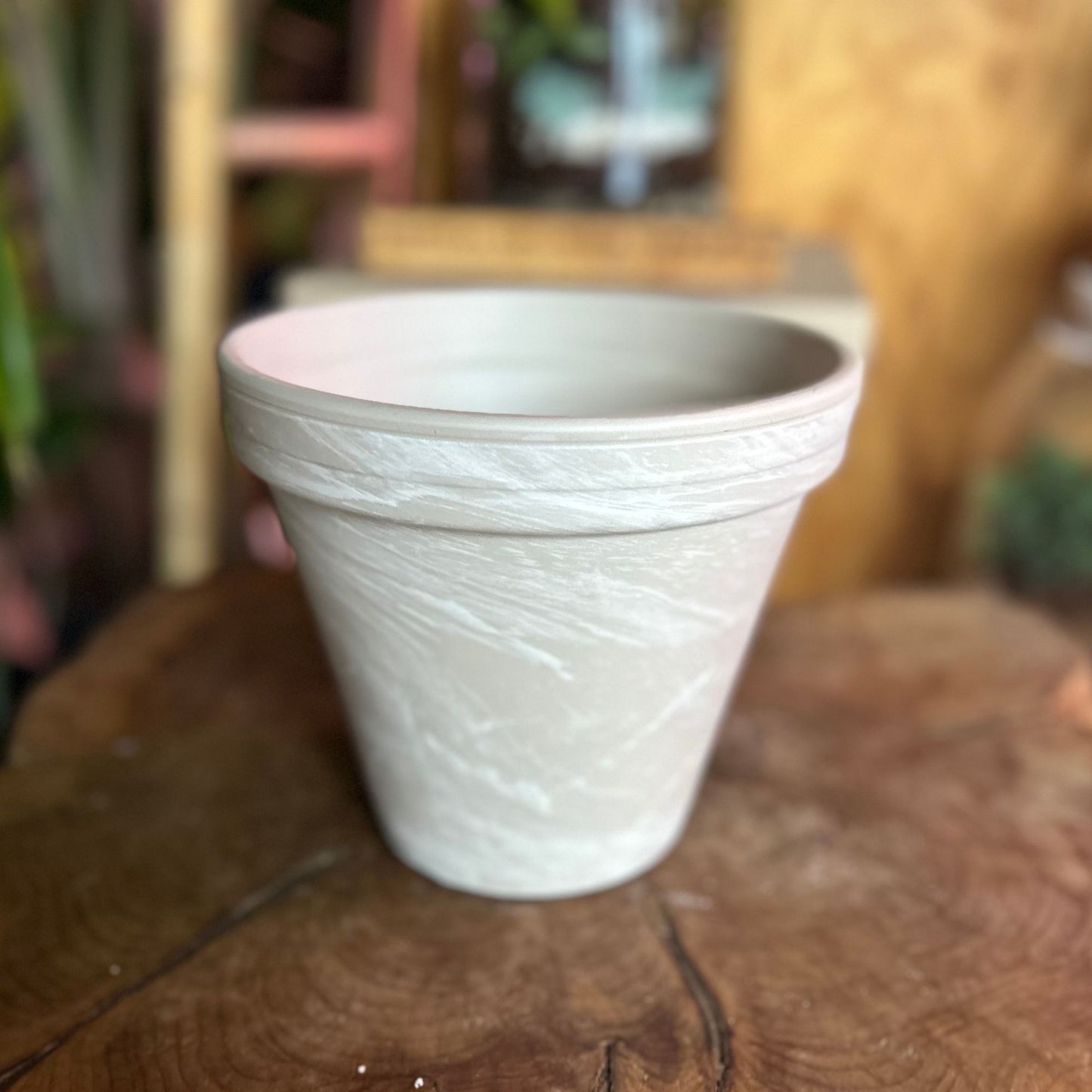 Apollo Pot 6" With Saucer