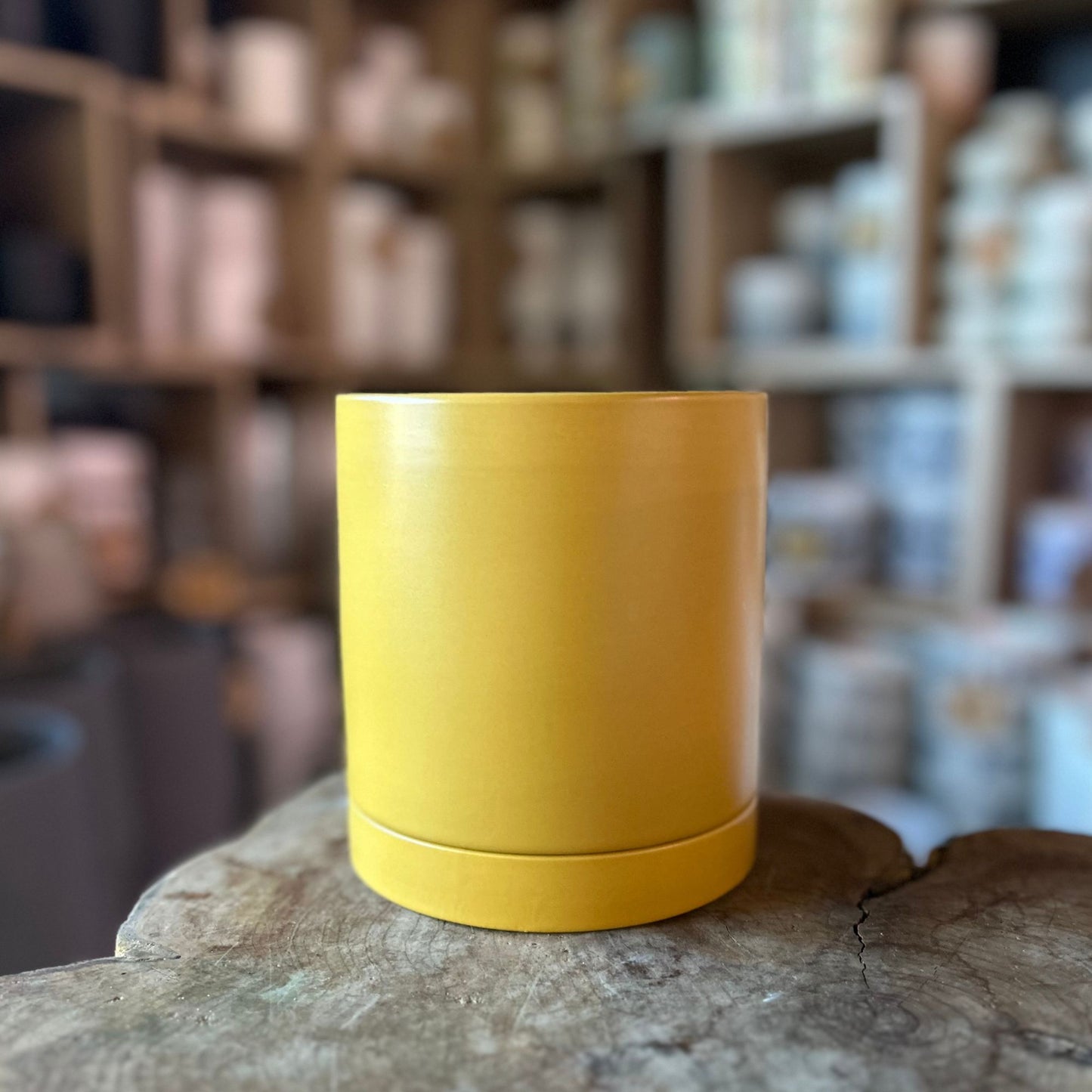 Romney Pot Yellow 5"
