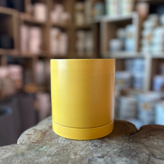 Romney Pot Yellow 5"