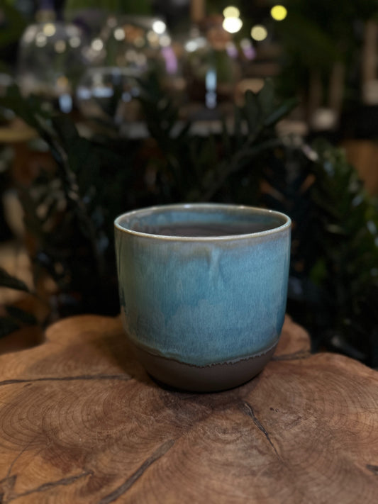 Caribe Pot 6"