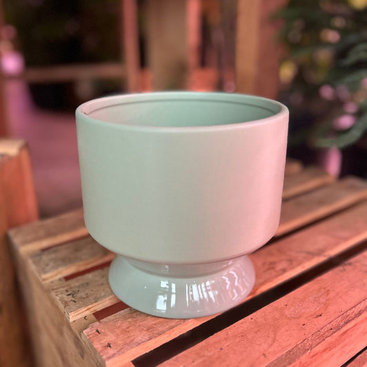 Pasadena Pot Green 6"