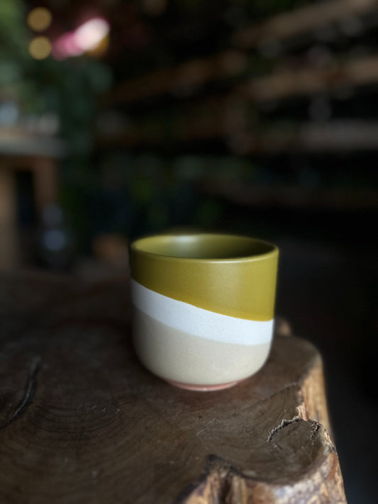 Colorway Pot Yellow 3”
