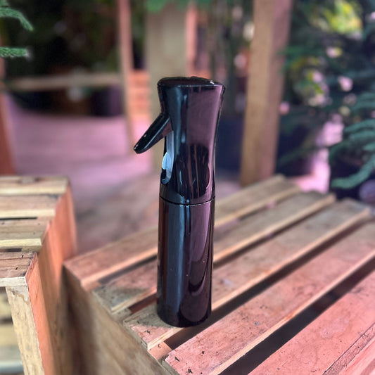 Black Mister