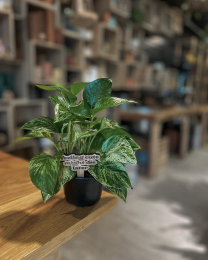 Custom Plant Stake