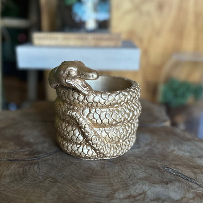 Coiled Snake Pot 5"
