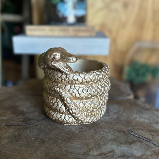 Coiled Snake Pot 5"