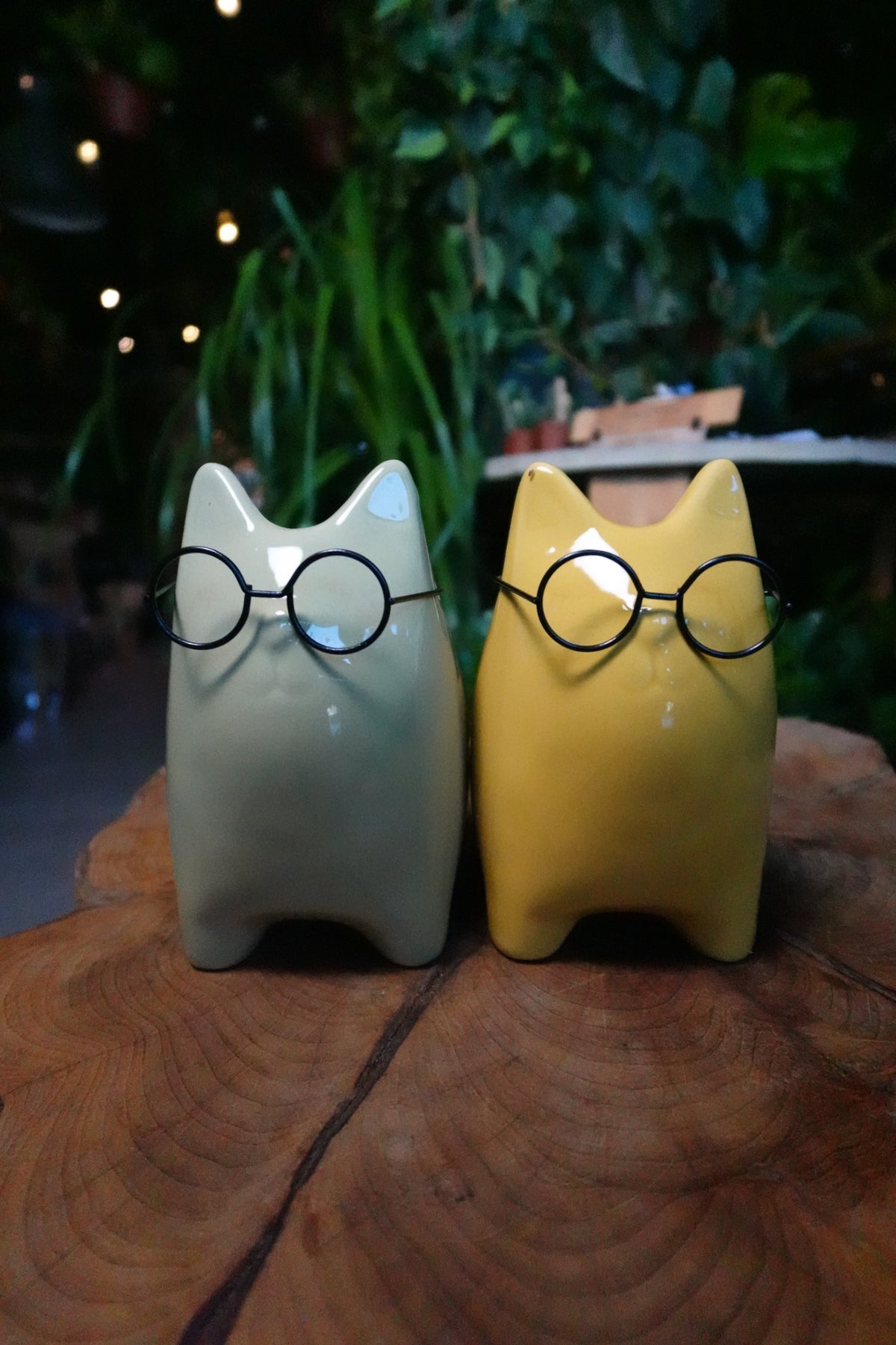 Wisdom Cat Pot 3"