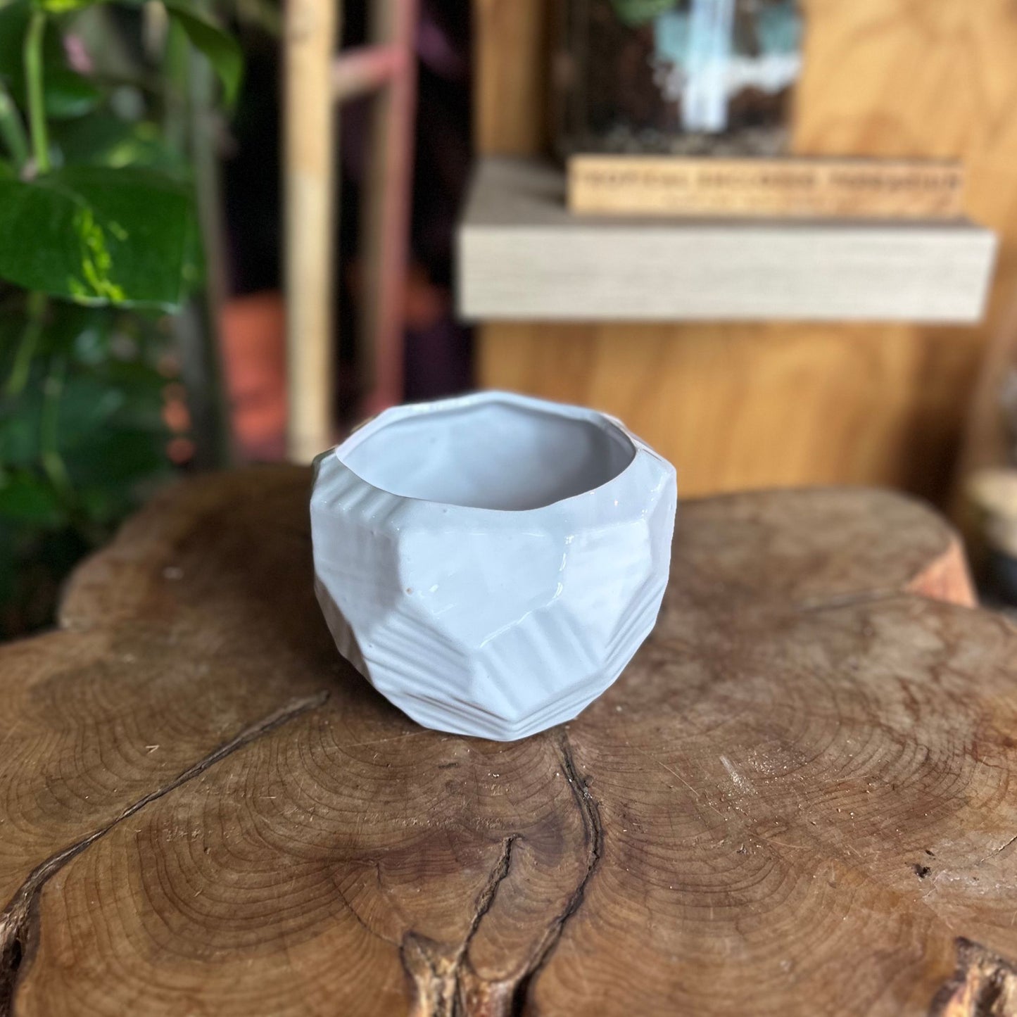 White Geometric Pot 4.5"