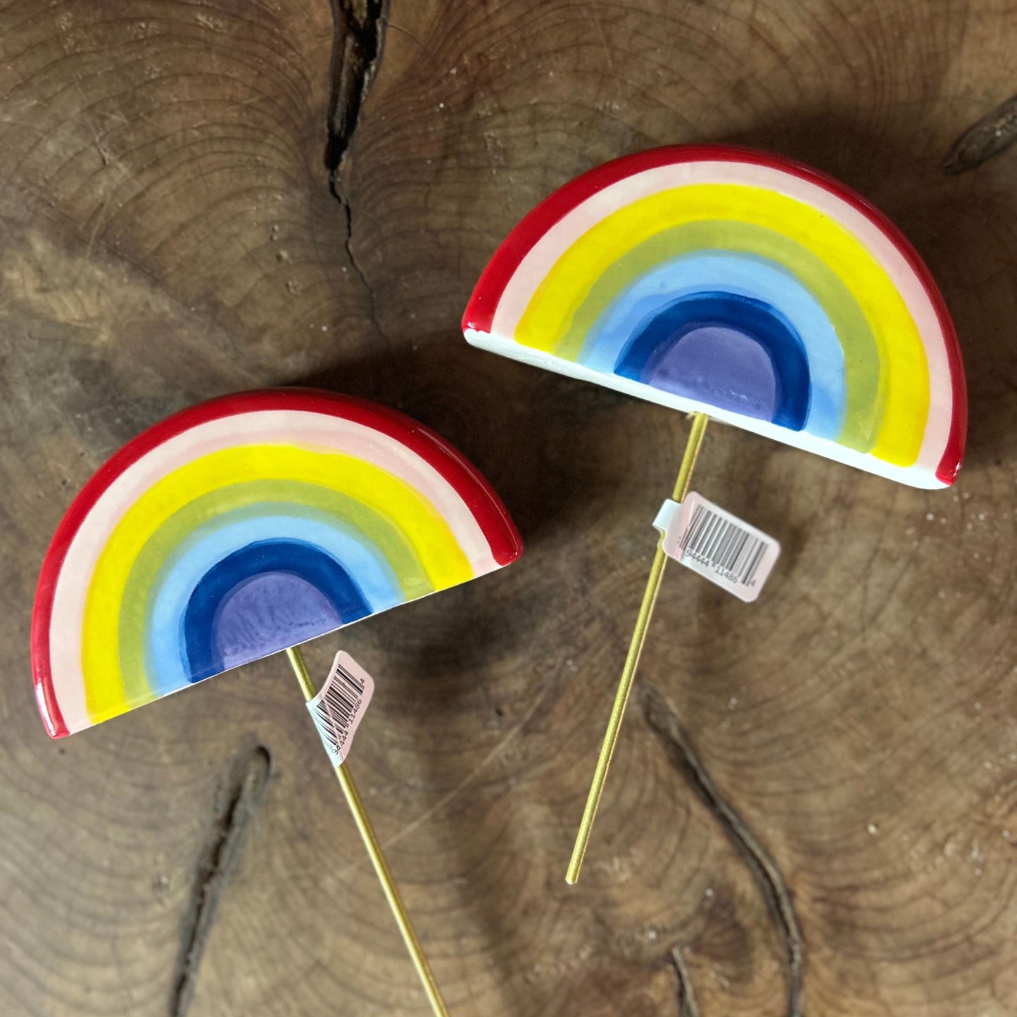 Rainbow Plant Stick