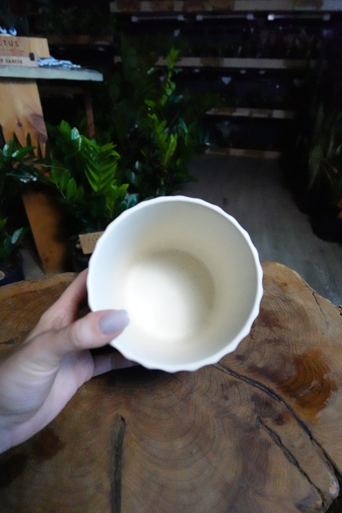 Beam Pot White 4.5"
