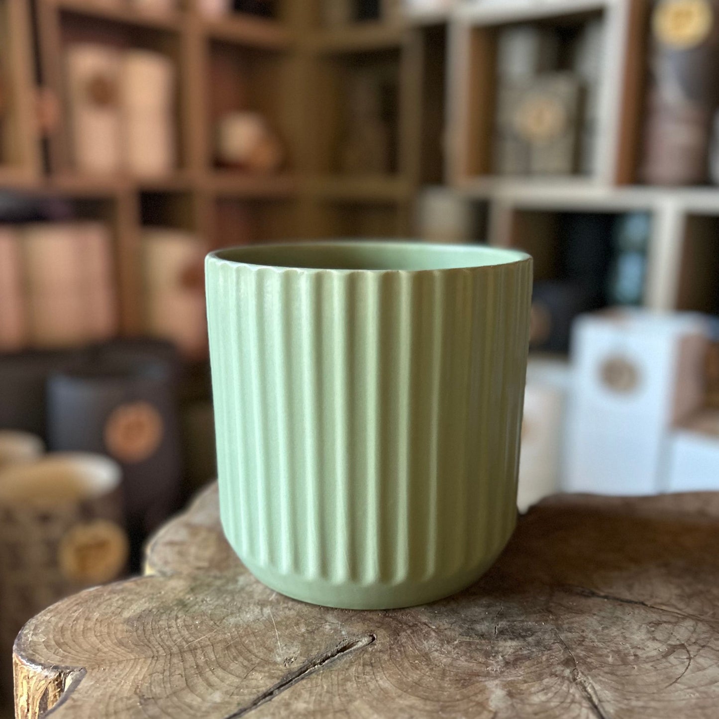 Beam Pot Green 6"
