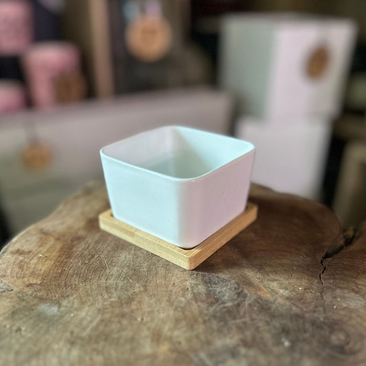 Square Pot w/ Saucer 3"