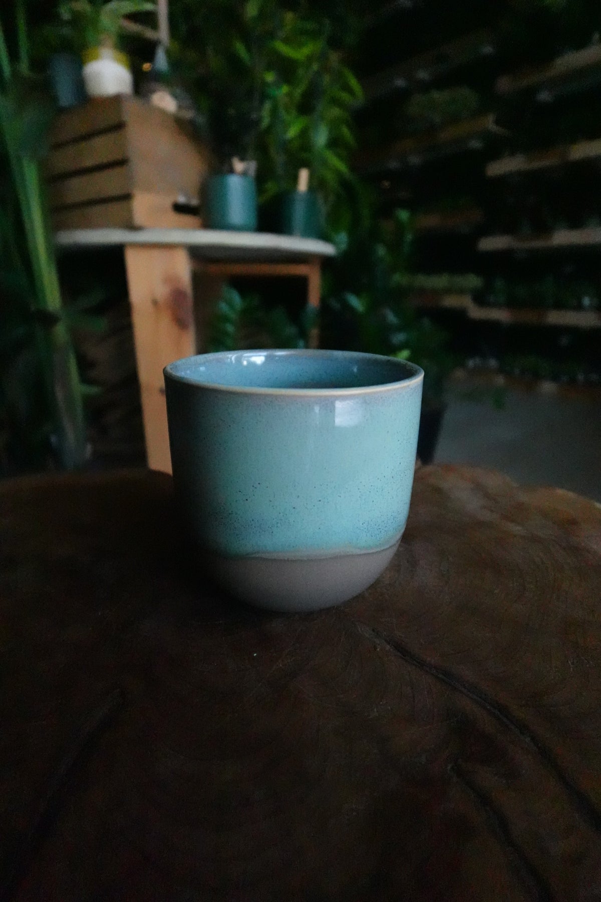 Caribe Pot 4"