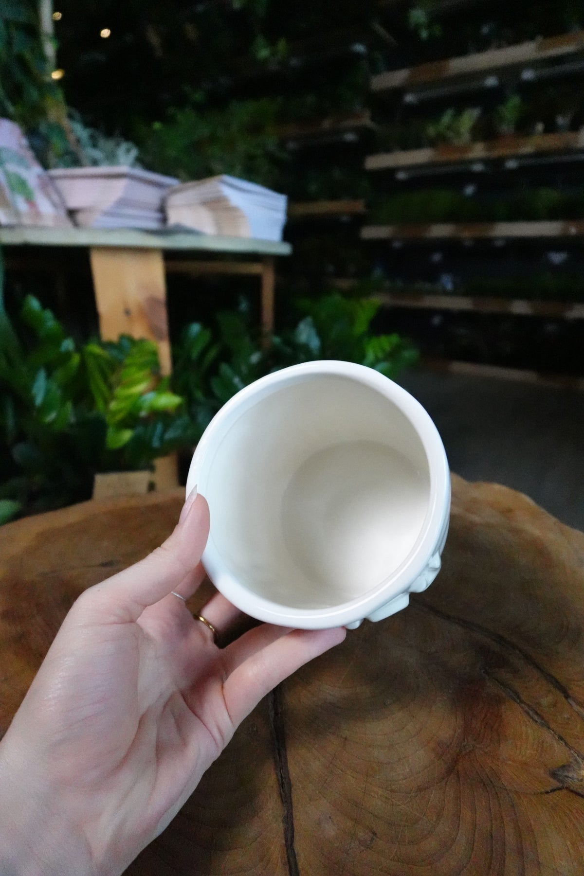 Howdy Plant Pot 4.5"
