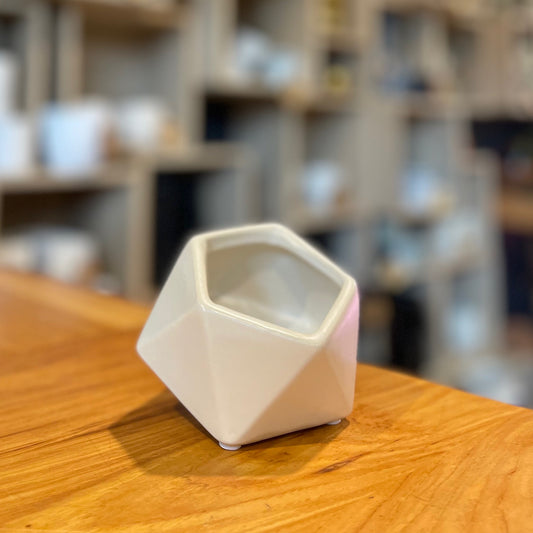 White Tilt Pot 2.5”