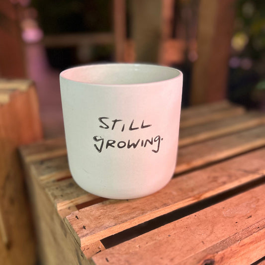 Honesty Pot 4.5"
