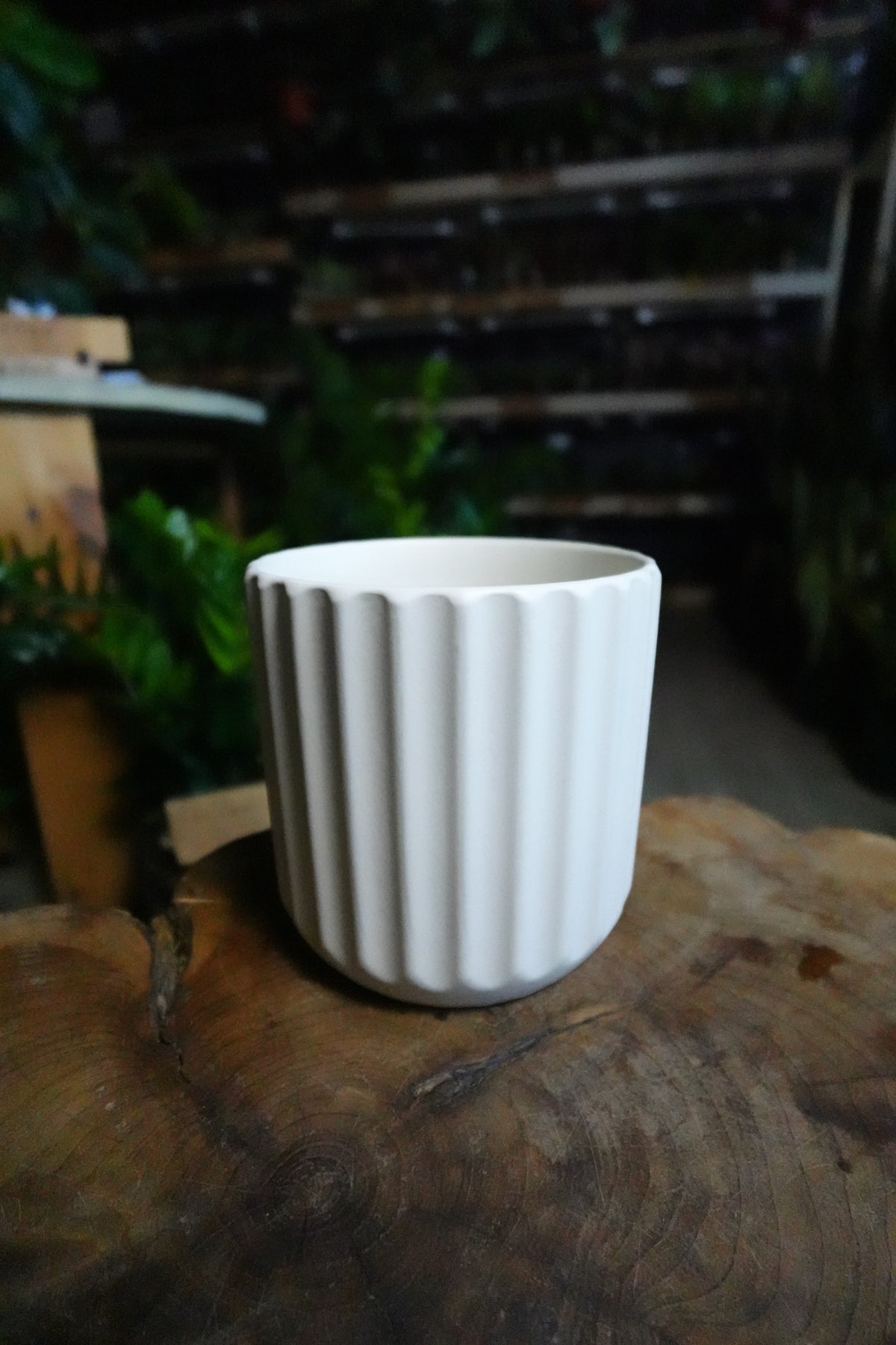 Beam Pot White 4.5"
