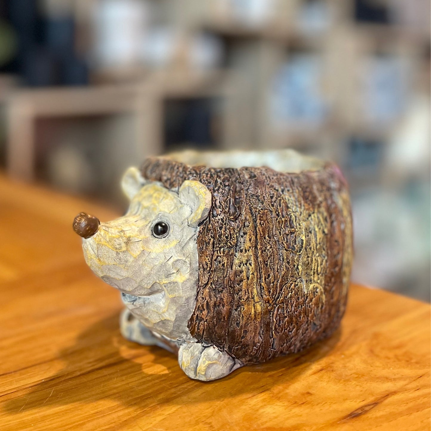 Hedgehog Planter 3”