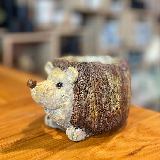 Hedgehog Planter 3”