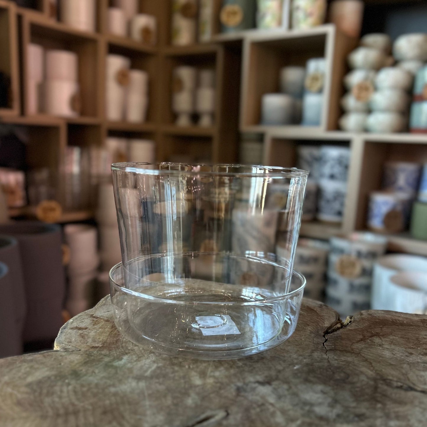 Glass Pot 6"