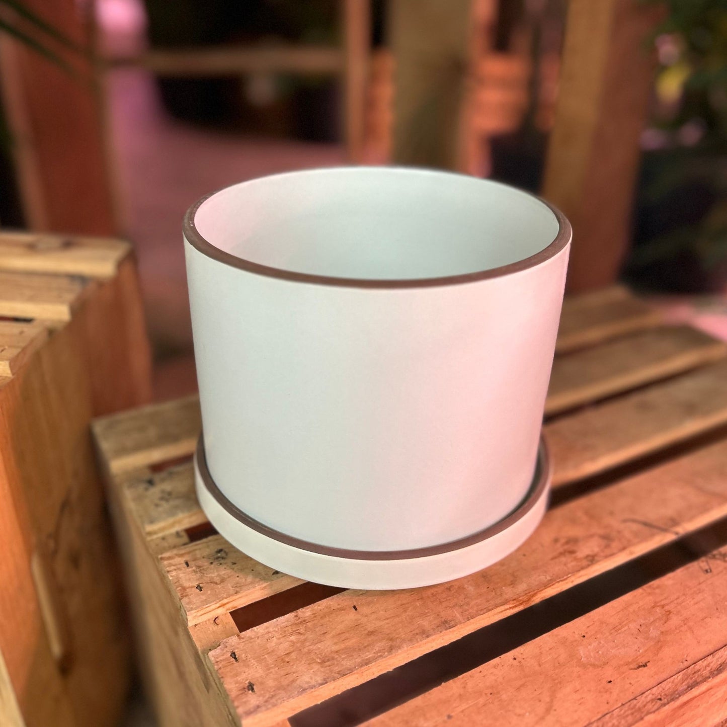 Author Pot 6"