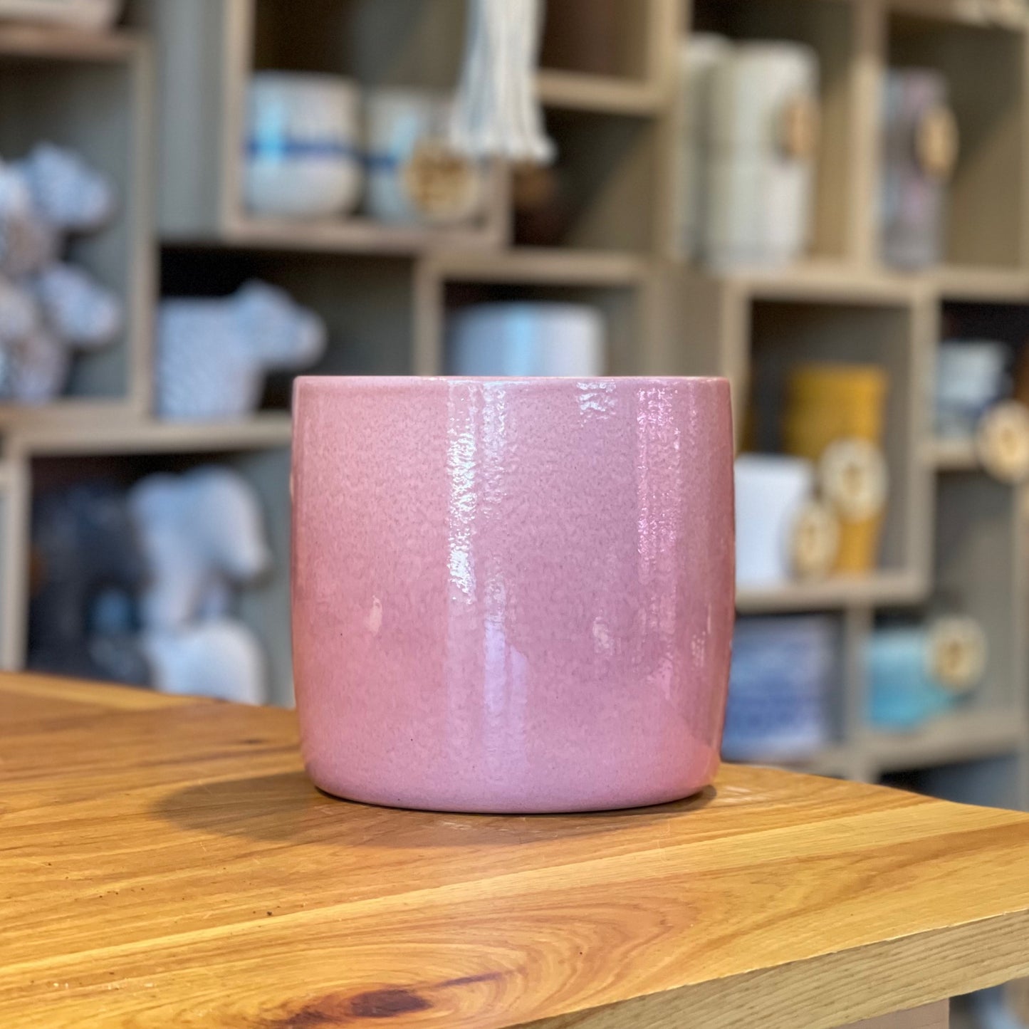 Rosea Pot (Pink) 7”