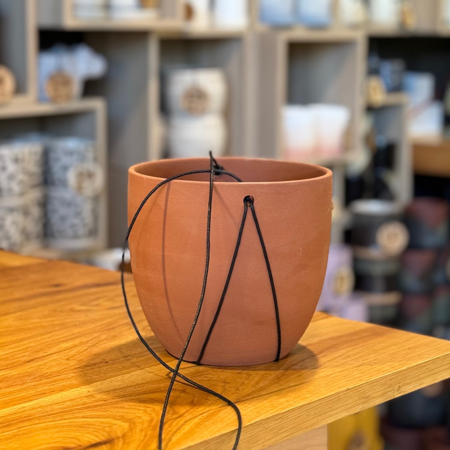 Palma Hanging Pot 6”