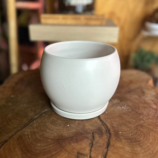 Bubble Pot w/ Saucer 5"