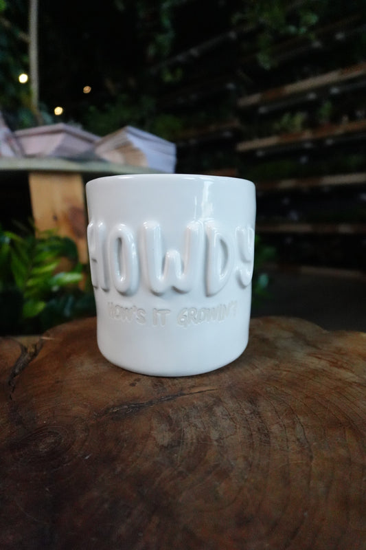 Howdy Plant Pot 4.5"