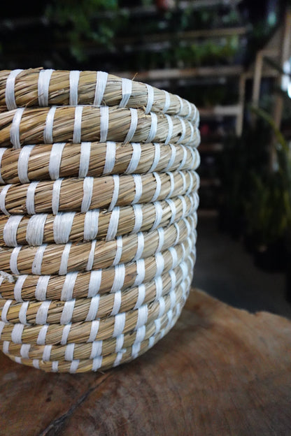 Tejida Basket 8"